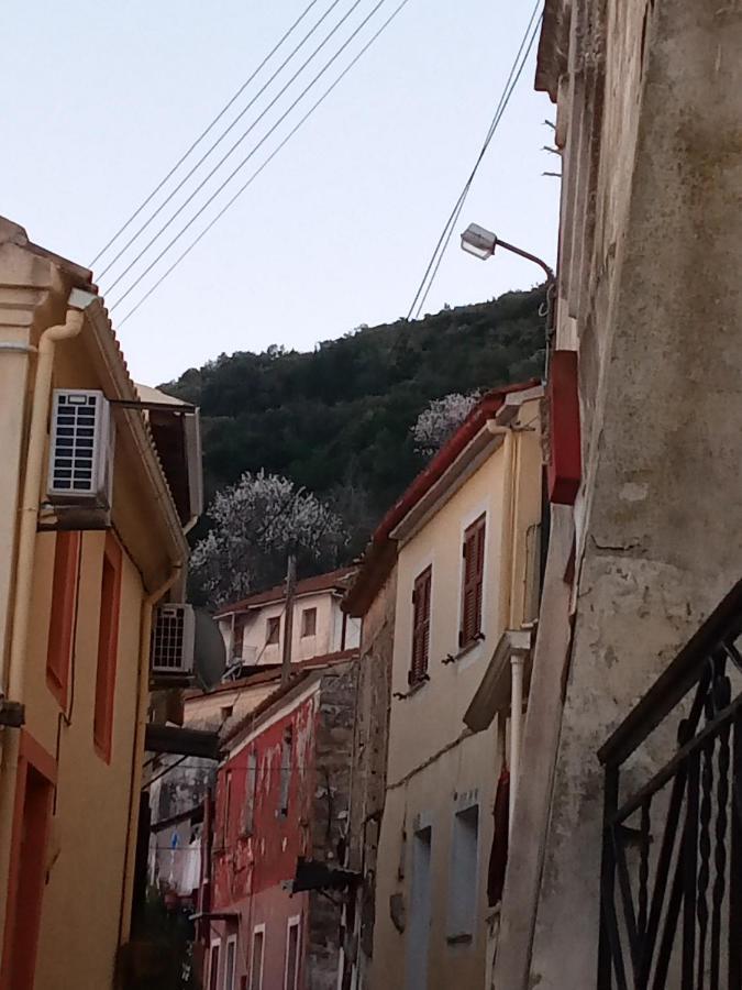 Village House Agios Matthaios  Exterior photo